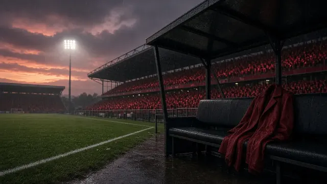Illustration of an empty manager's seat in a soccer dugout on a gray morning